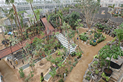 植物公園温室内再整備工事(28-1)