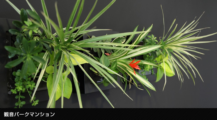 観音パークマンション