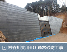 一級河川太田川水系 根谷川支川60 通常砂防工事